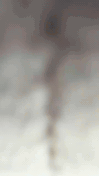 Dreamworks Collectibles GIF by Youtooz