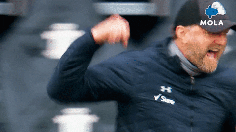 Happy Fun GIF by MolaTV