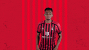 Celebrating Bring It GIF by AFC Bournemouth