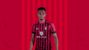 Celebrating Bring It GIF by AFC Bournemouth