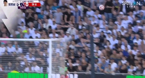 Davi4ever giphyupload GIF