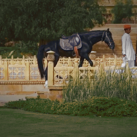 Breakfast Wait GIF by Suryagarh Collection