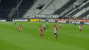 GIF by PAOK FC