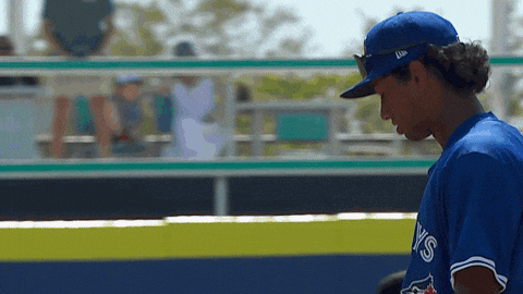Blue Jays Smile GIF by Toronto Blue Jays