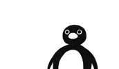Penguin Noot Noot GIF