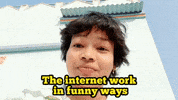 The Internet Lol GIF