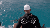 will smith swimming GIF by Will Smith's Bucket List
