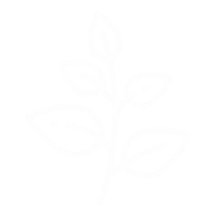 Illustration Flower Sticker by kastanie-meerbusch