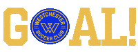 westchestersc football soccer win futbol Sticker