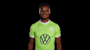 Sport Reaction GIF by VfL Wolfsburg