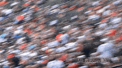 380581 GIF by MLB
