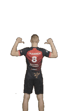 Deutschland Sticker by Volleyball Bundesliga