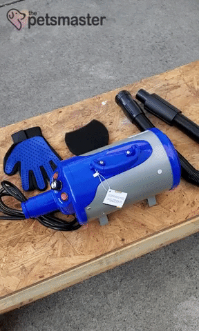 bridgeatslides giphyupload GIF