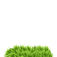 agrosulsementes campo lavoura cultivar plantacao Sticker
