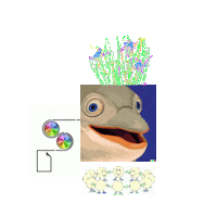 Billie Eilish Dolphin Sticker by Canek