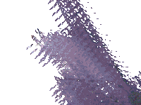 Dua Lipa Love Sticker by Canek