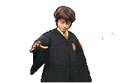 harry potter Sticker