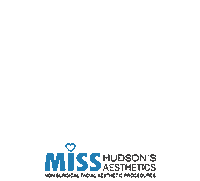 Hudson Sticker by Miss Hudson's Aesthetics