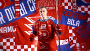 Robin Kaplan GIF by HC Dynamo Pardubice
