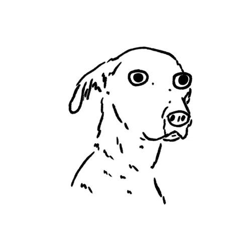 Scared Dog GIF by butpoorlydrawn