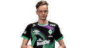 Fifa Ea Sticker by SV Werder Bremen