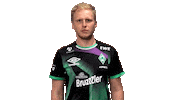 Fifa Easports Sticker by SV Werder Bremen