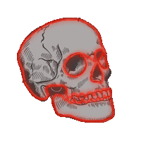 VJEMY neon skull flash vjemy Sticker