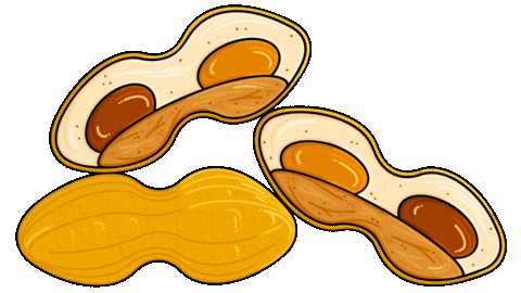 Paris Opera Sticker by Cedric Grolet