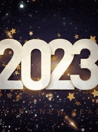 Party Flower GIF by RGL DECORS