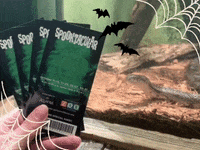 Snake GIF by Jacksonville Zoo and Gardens