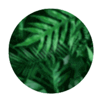 Life Glass Sticker by Pasabahce Cam Ev Esya