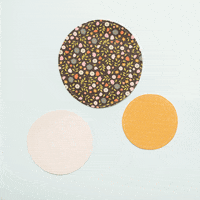 PebblesInc valentines thanksgiving handmade seasonal GIF