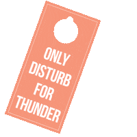 Las Vegas Sticker by ThunderVegas