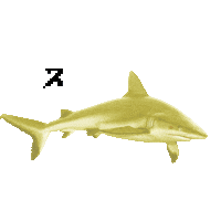 Awesome Shark Sticker by Pinkfong