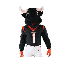 Texans Mascot Sticker by Houston Texans