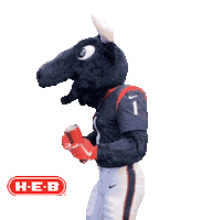 Houston Texans Nfl Sticker by H-E-B
