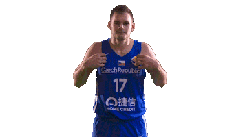 Czech Republic Game Sticker by FIBA