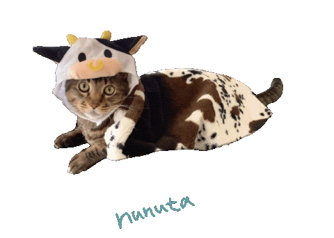 Cat Cow Sticker