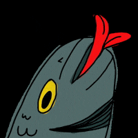 euphosync fish euphosync GIF