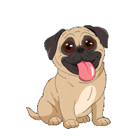 Challenge Pug Sticker by Stiftung Tierärztliche Hochschule Hannover