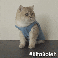 happy world cup GIF by Celcom