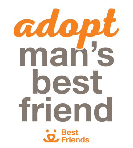 Adopt Best Friend Sticker by Best Friends Animal Society