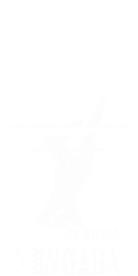 Ufo Sticker by GINGAGA