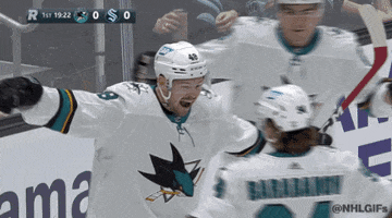 Ice Hockey Sport GIF by NHL