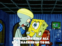 season 5 the two faces of squidward GIF by SpongeBob SquarePants
