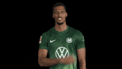 Germany Bundesliga GIF by VfL Wolfsburg