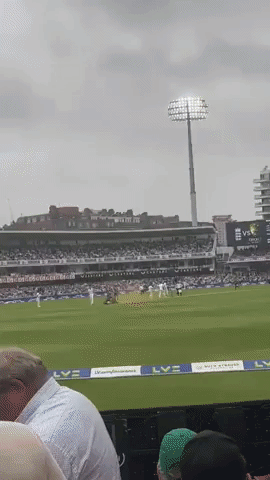 Cricketer Carries Just Stop Oil Protester Off the Field at Lord's as Ashes Test Disrupted