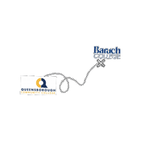 Decision Transfer Sticker by Baruch Admission