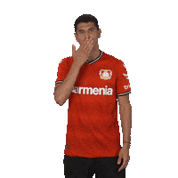 I Love You Kiss Sticker by Bayer 04 Leverkusen