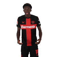 Excited Lets Go Sticker by Bayer 04 Leverkusen